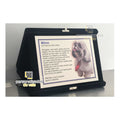Placa De Homenagem / Cachorro / Gato / Pet