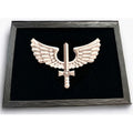 Logo Força Aérea No Quadro