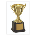 Troféu Taça Dourada